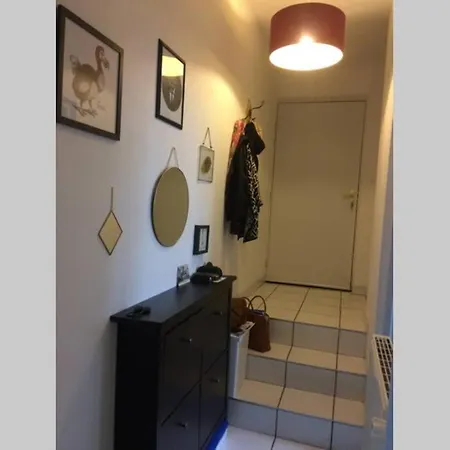 Appartement Duplex Des Soeurs Macarons Hypercentre Nancy